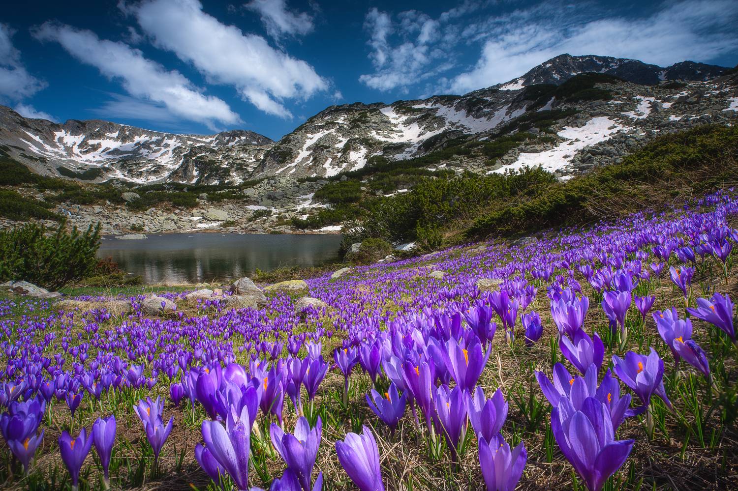 , Mariyana Atanasova - Lucero