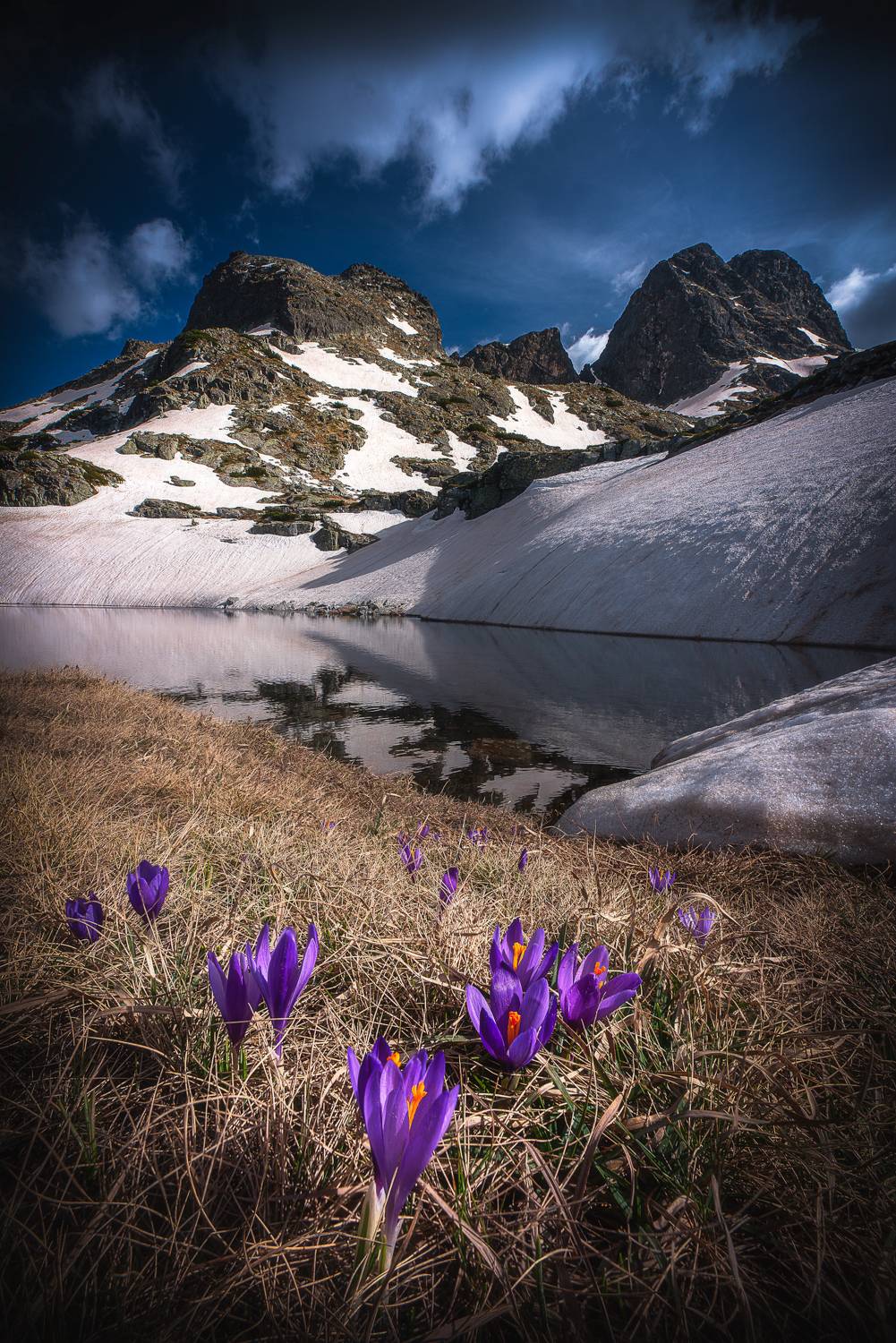 , Mariyana Atanasova - Lucero