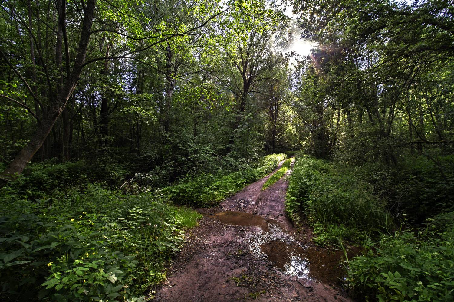 , Шитов Александр