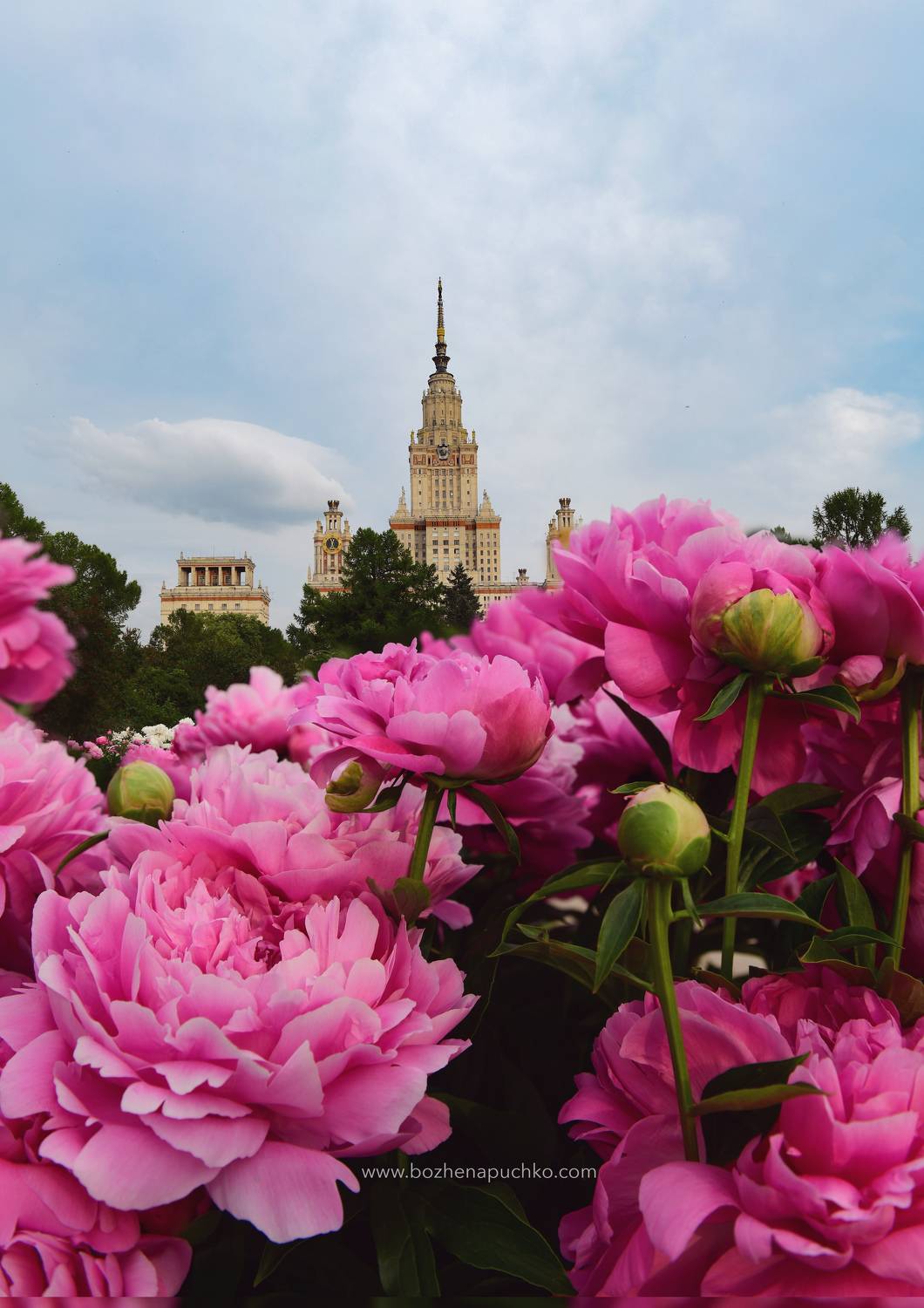 , Божена Пучко