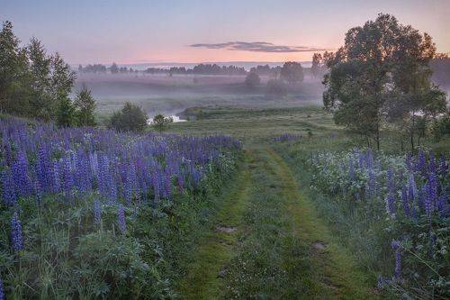 Ночь перед рассветом.