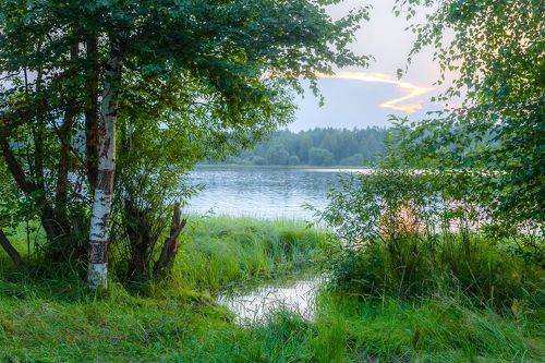 Лесное озеро