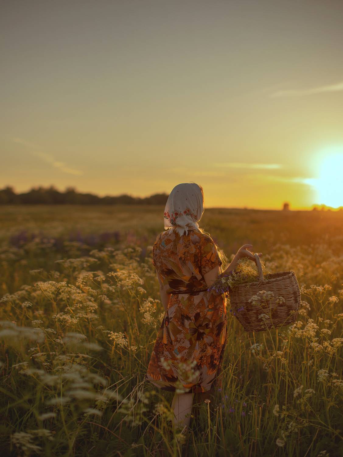 , Шепелева Татьяна