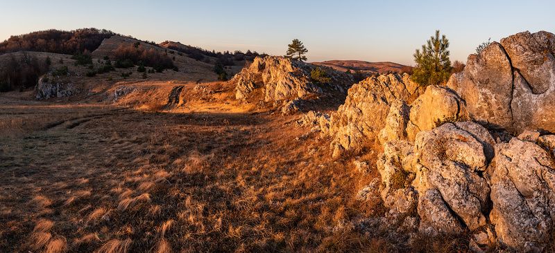 Происхождение цвета фото превью