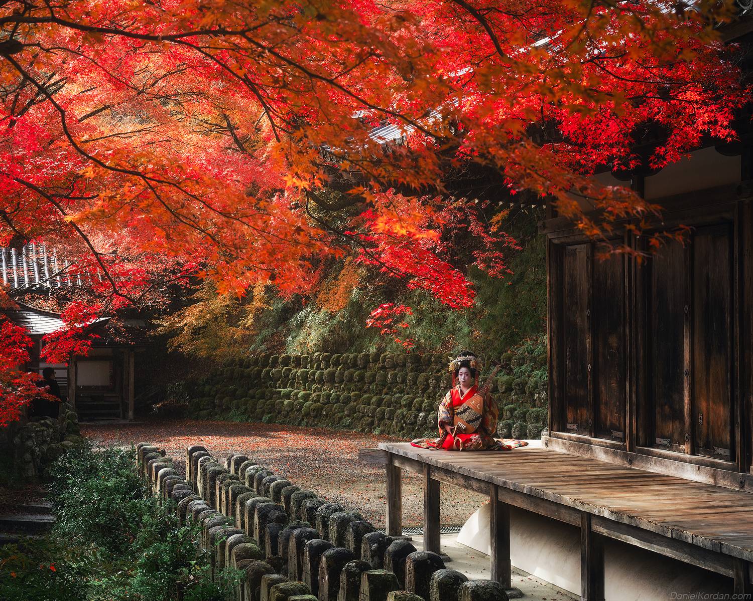 , Даниил Коржонов