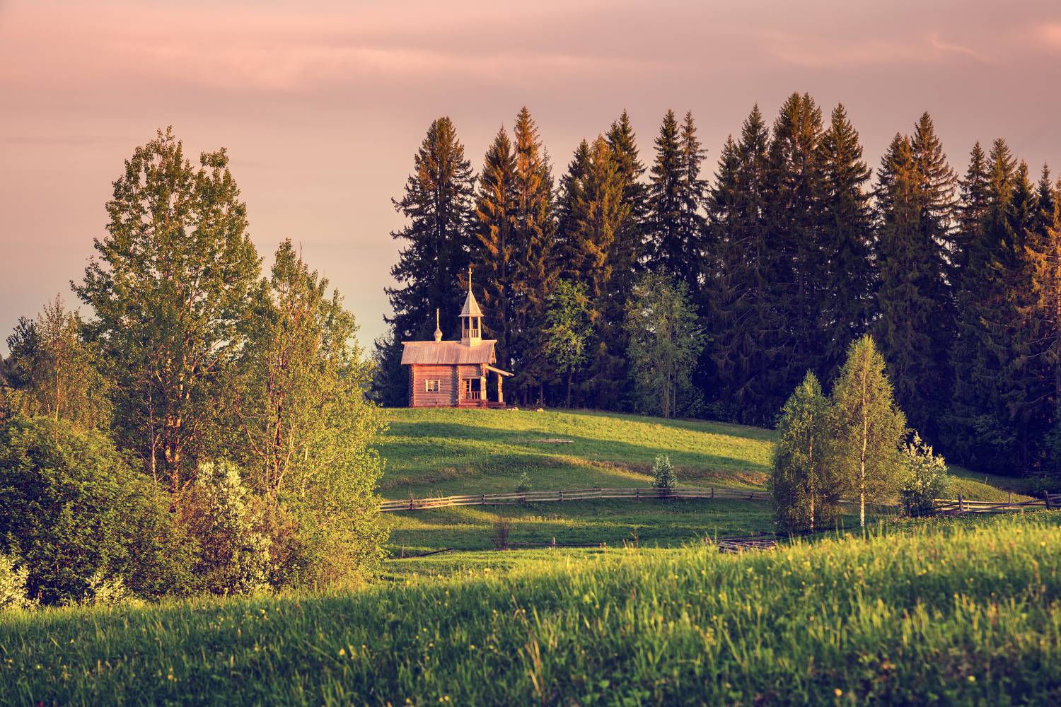 , Максим Евдокимов