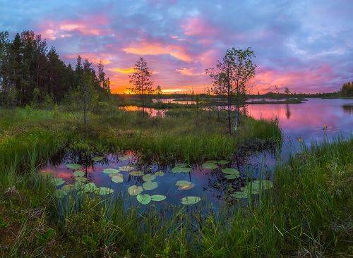 Цветные сны