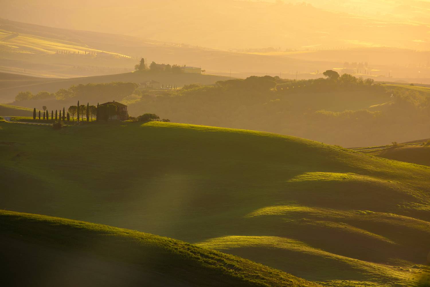 , Евгения Чех
