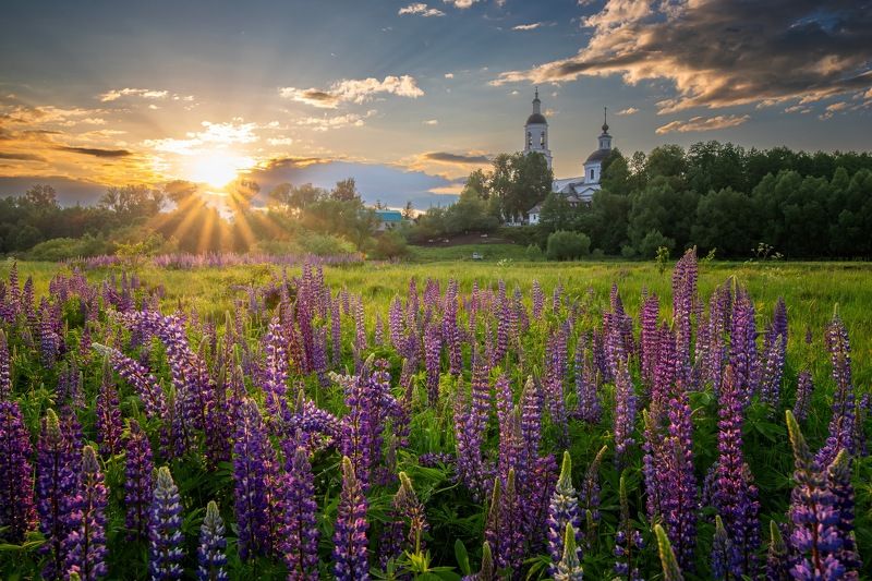 фото превью