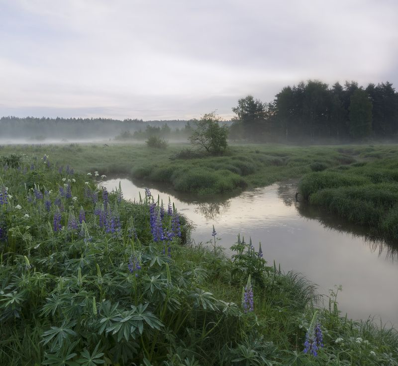 После дождя фото превью