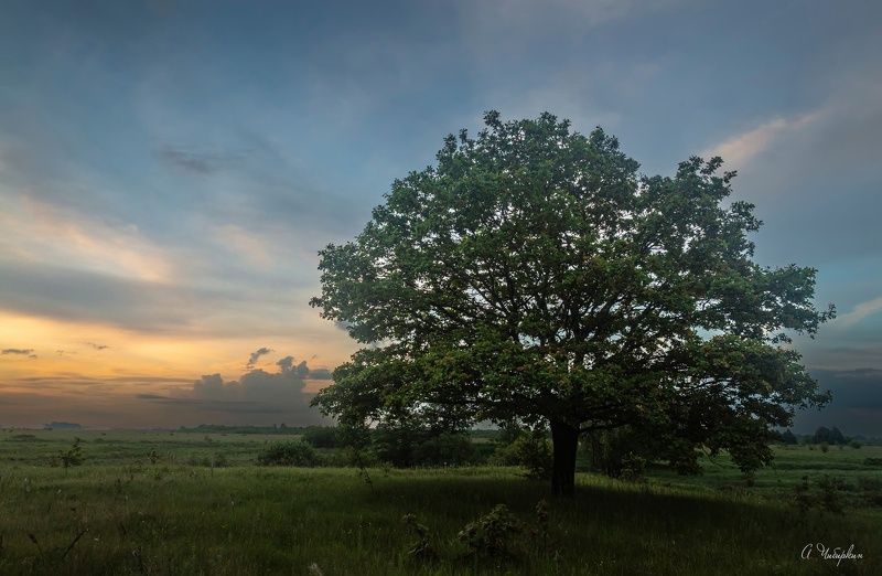 Летний вечер фото превью