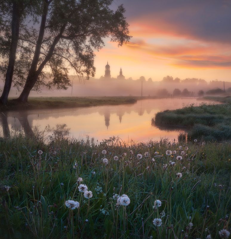 Летнее утро фото превью