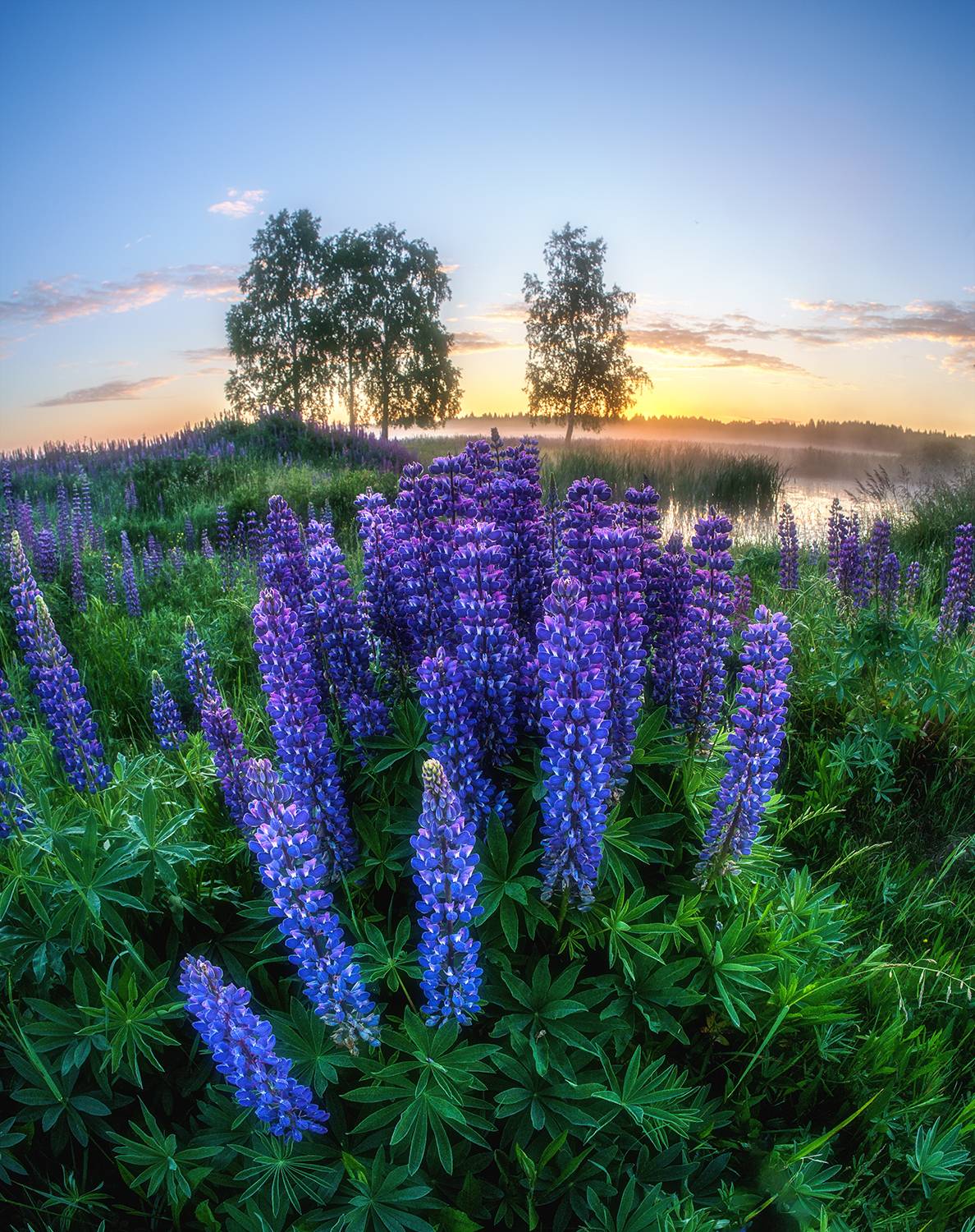 , Андреев Николай