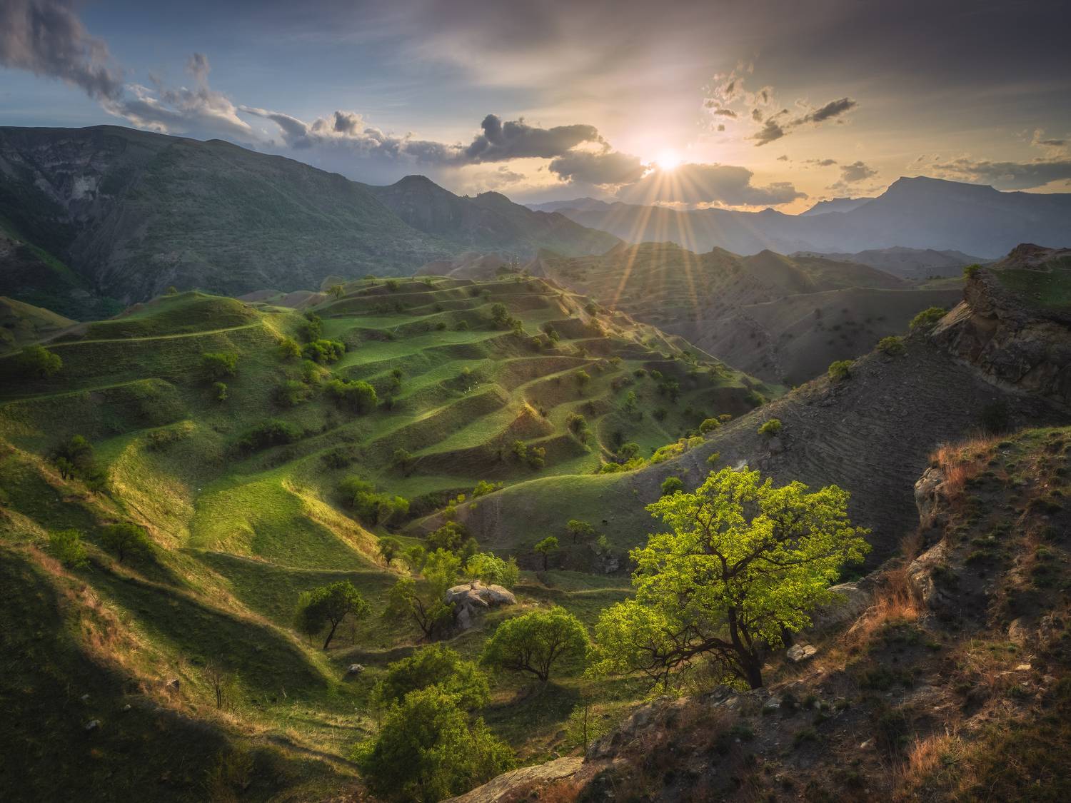 дагестан, Андрей Грачев