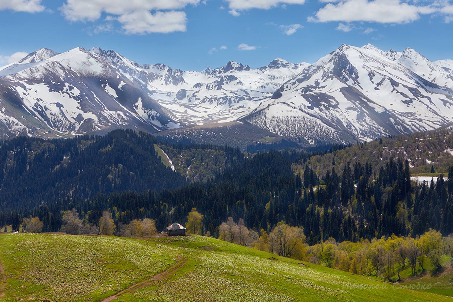 кавказ горы, Николай Стюбко