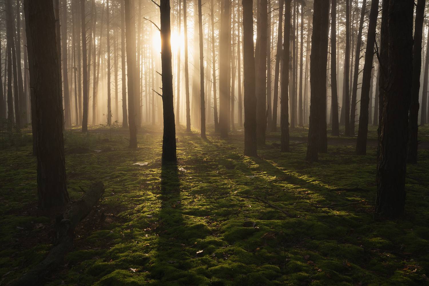 , Захаров Дмитрий