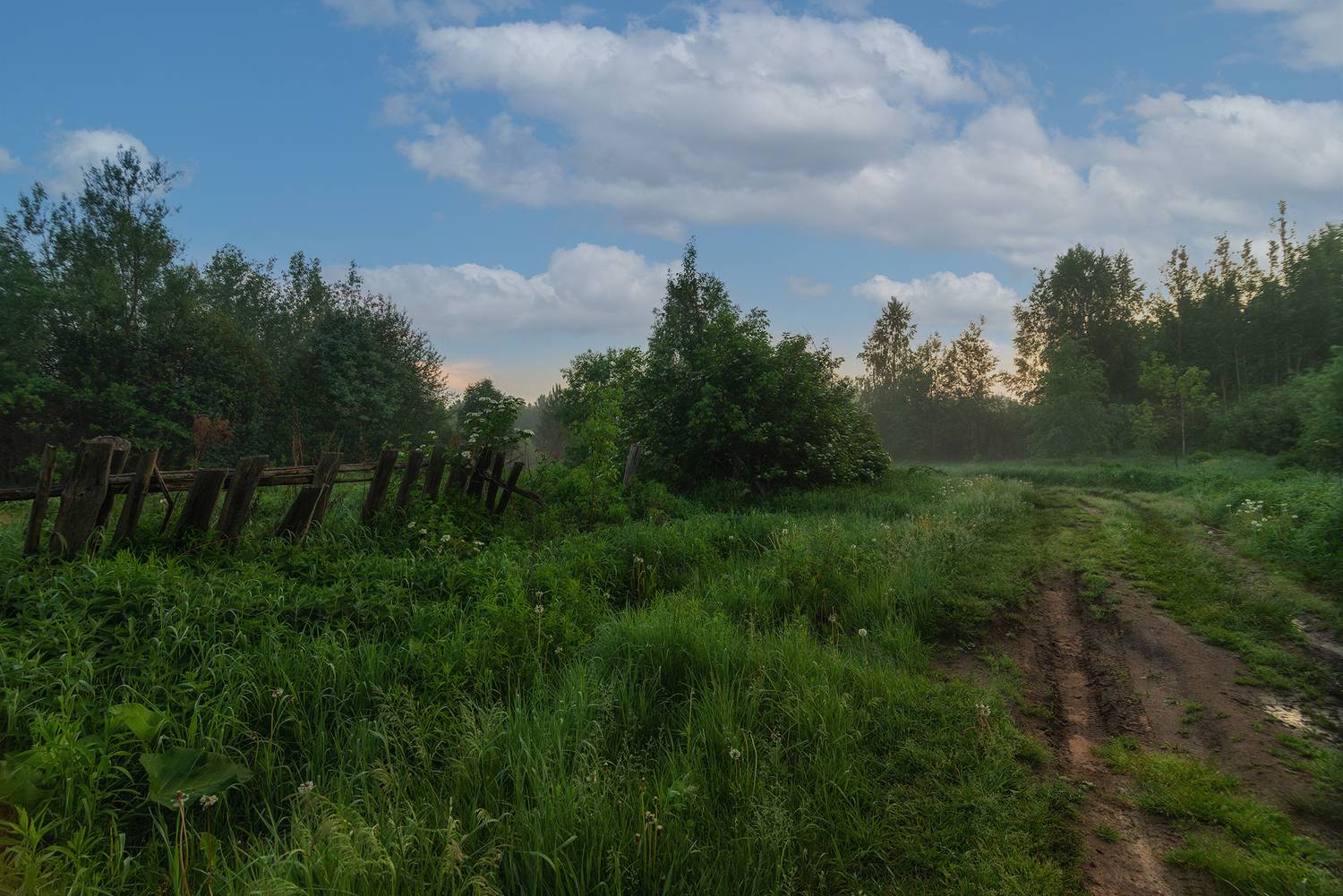 , Колобов Николай