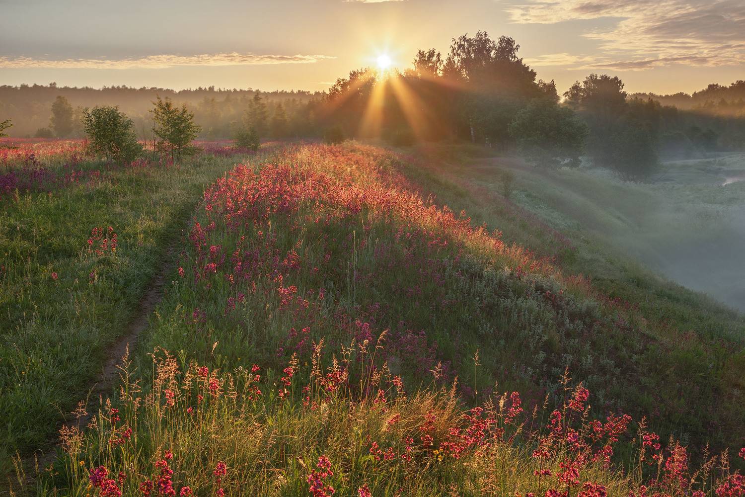 Фототуры с Владимиром Рябковым, #topnature #russpasibo #magic_shots #lovelyRussia #sunset_vision #exclusive_sky  #exclusive_shots #loves_russia2 #photoarena_nature #nature_sultans #nature_perfection #rsa_sky #rsa_sunset #photorussia #rsa_naturepics #sunse, Владимир Рябков