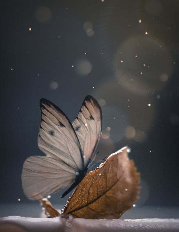 *** фото превью