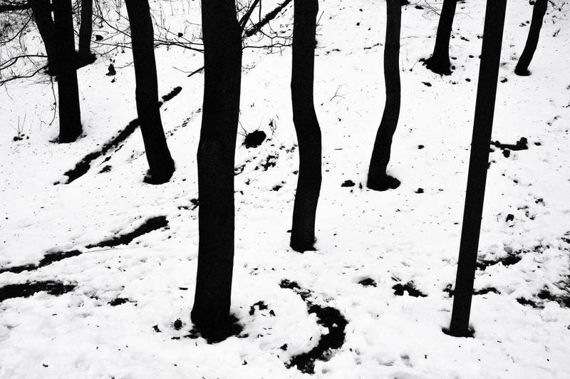 пейзаж Нетипичный пейзаж фото превью