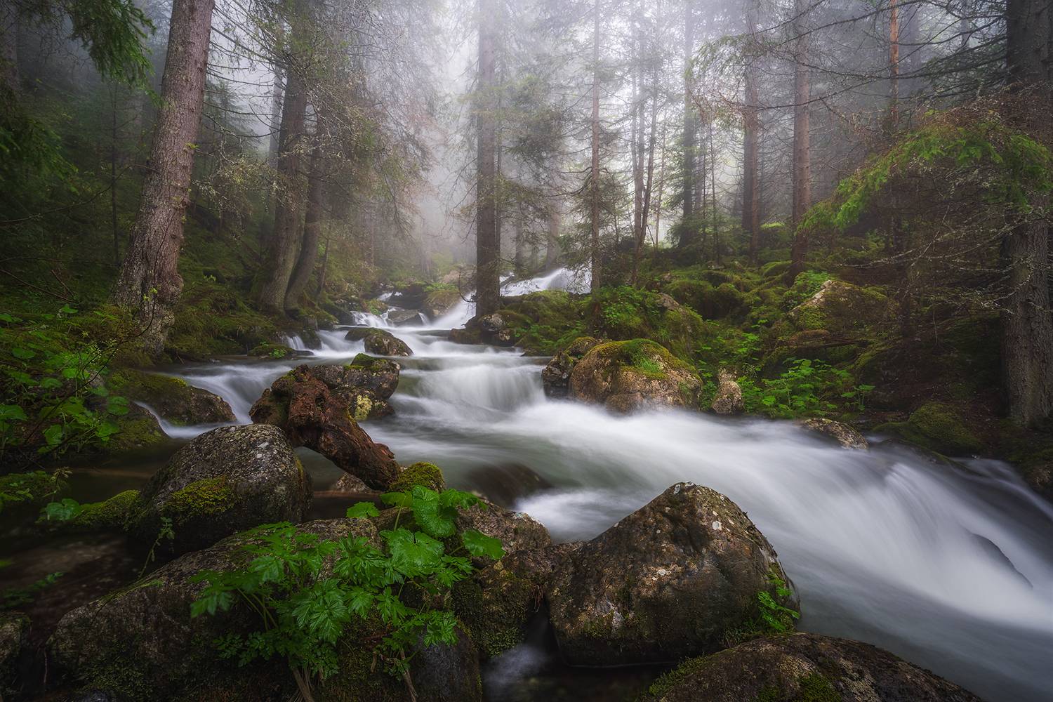 landscape, nature, scenery, forest, wood, mist, misty, fog, foggy, river, longexposure, mountain, rocks, rila, bulgaria, туман, лес, Александър Александров