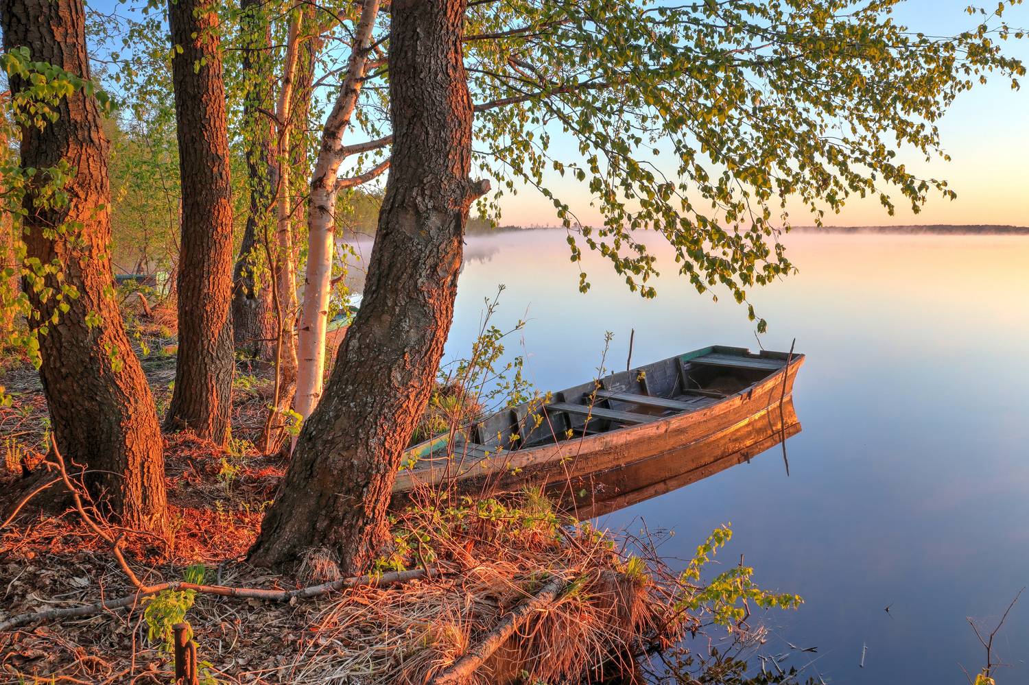 , Добролюбова Тамара