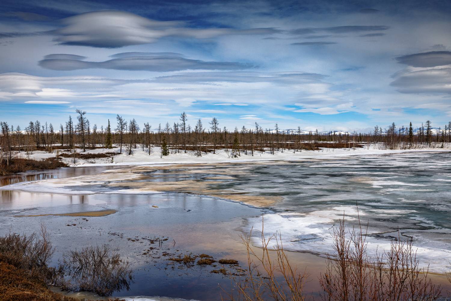 лето на севере, 08.06.2024, Евгений Кужилев
