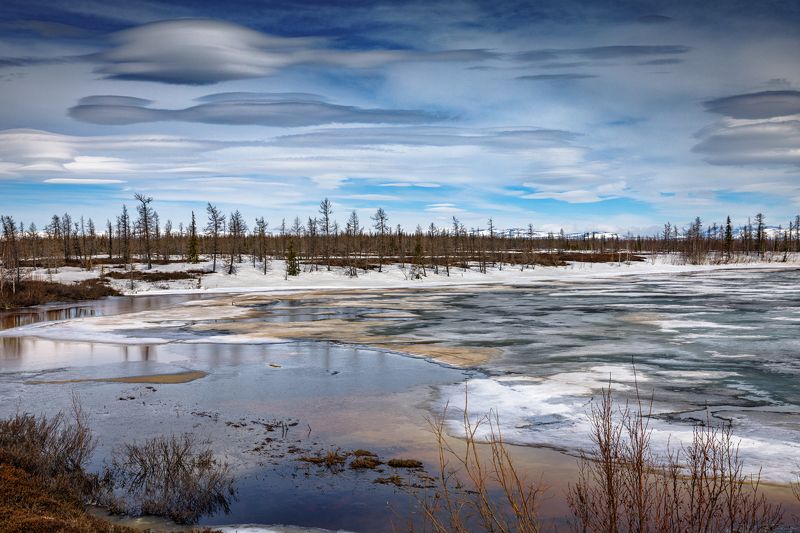 лето на севере, 08.06.2024 * * * фото превью
