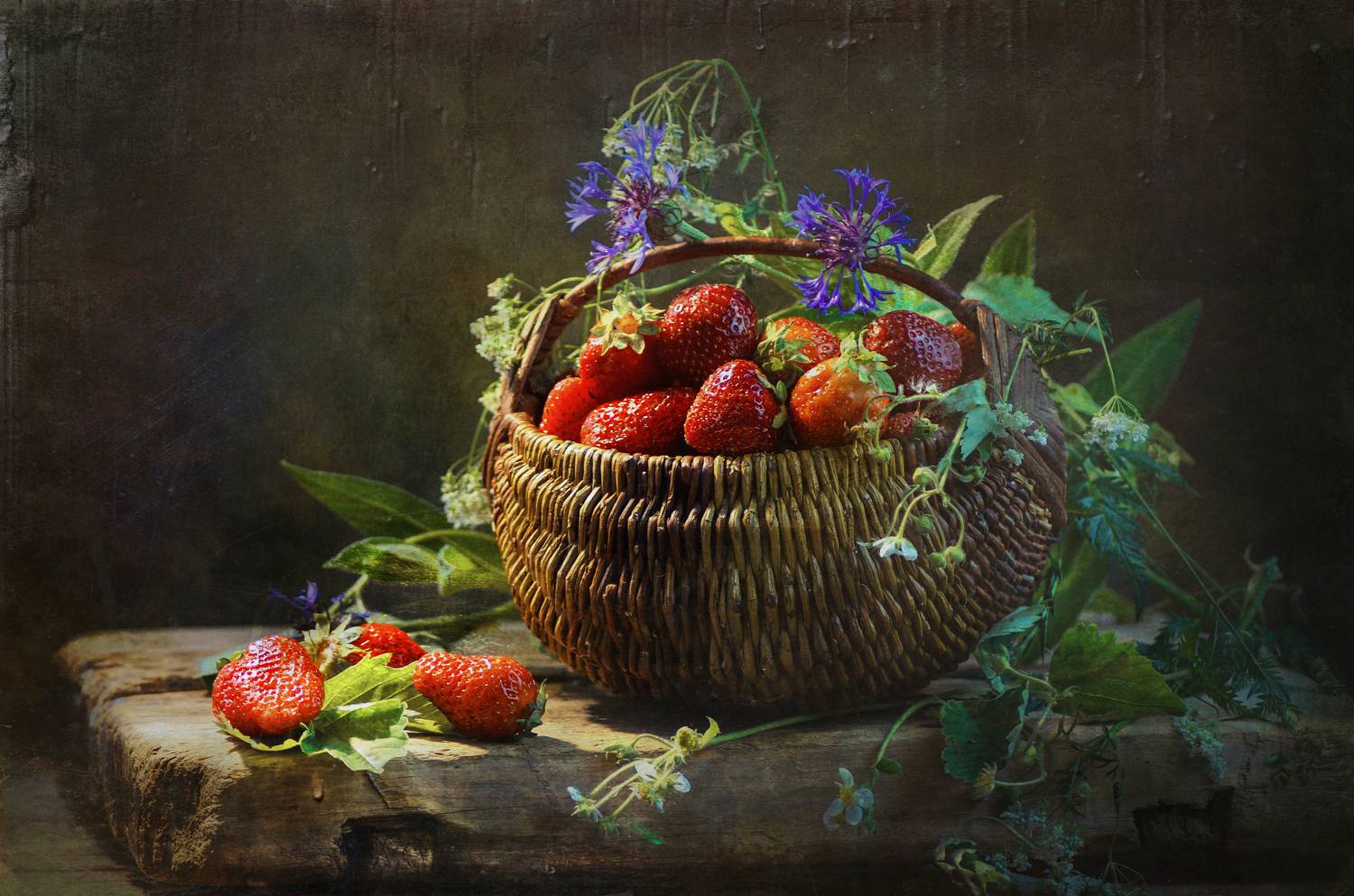 , Сушкевич Светлана