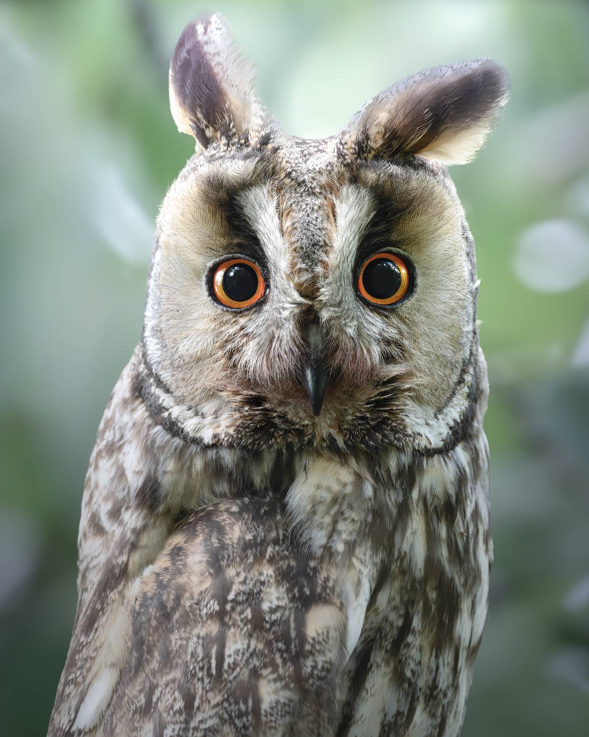 , Поляков Михаил