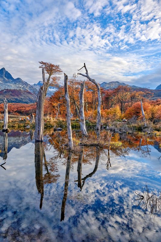 Золотая осень в Патагонии фото превью