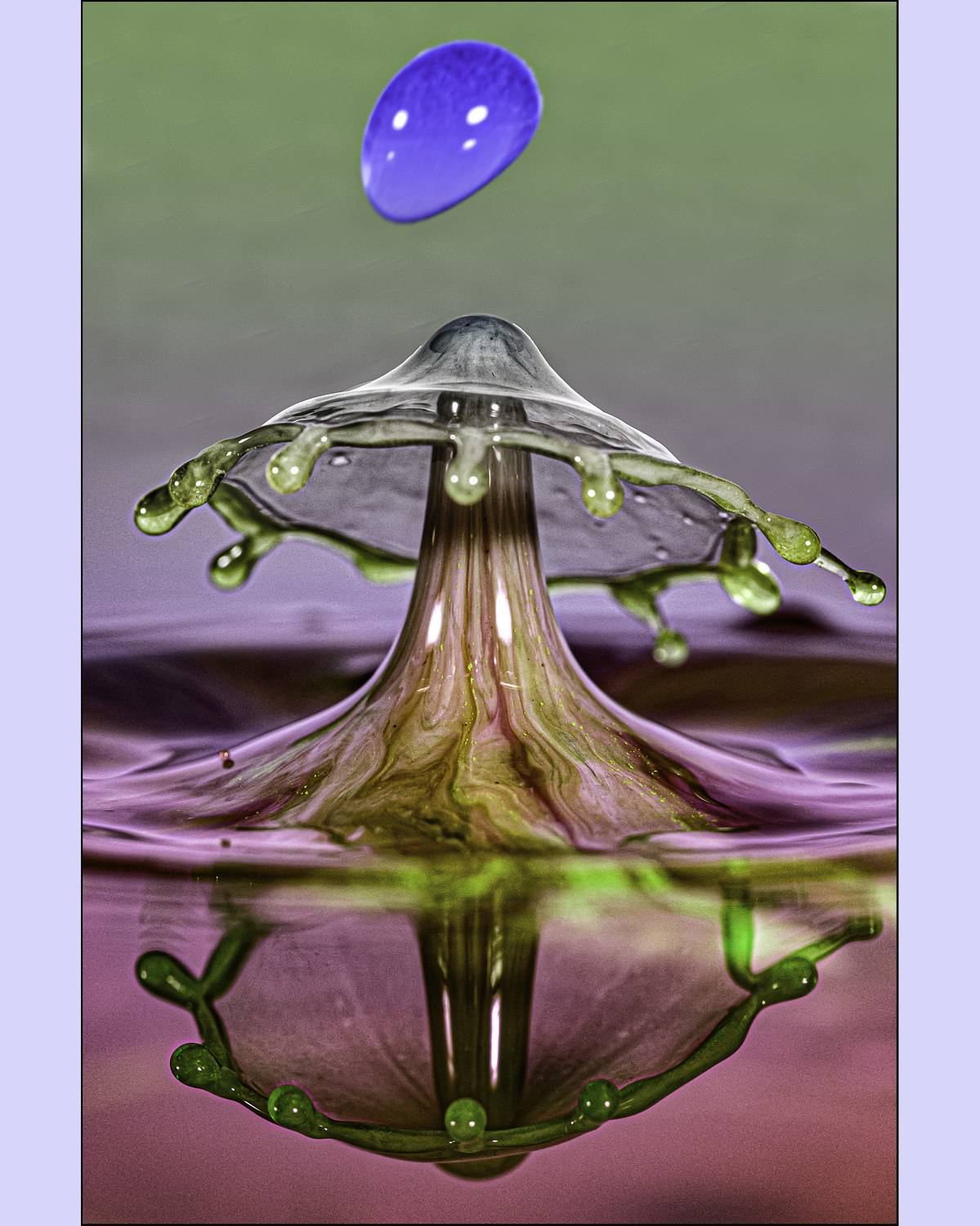 drop water, drop, macro,, Joao R Cortez