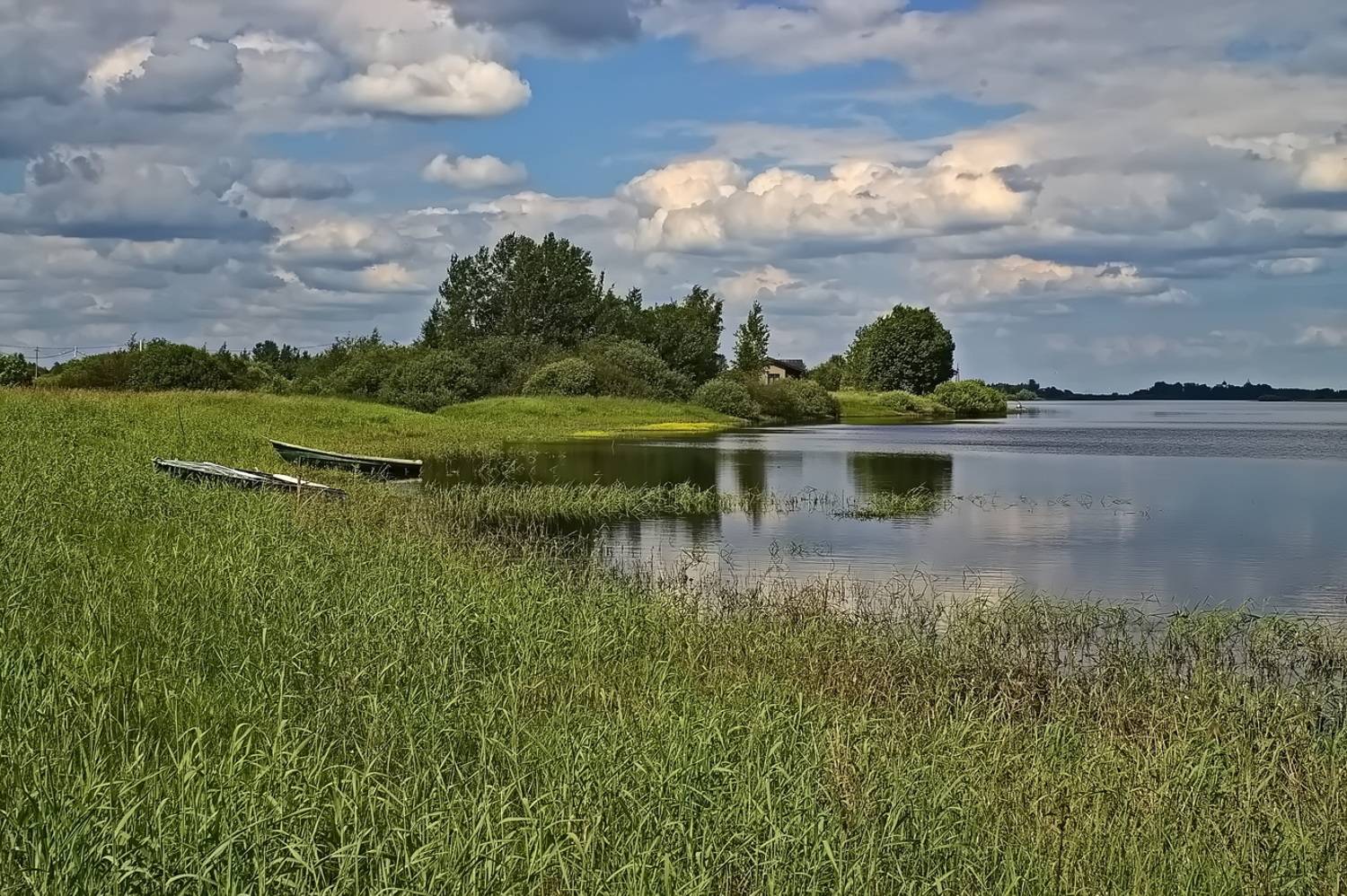 , Николаев Владимир