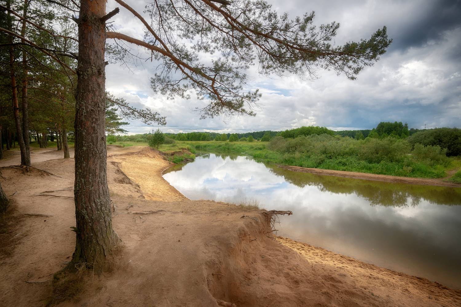 река, шерна, лето, сосны, песок, Сергей Аникин