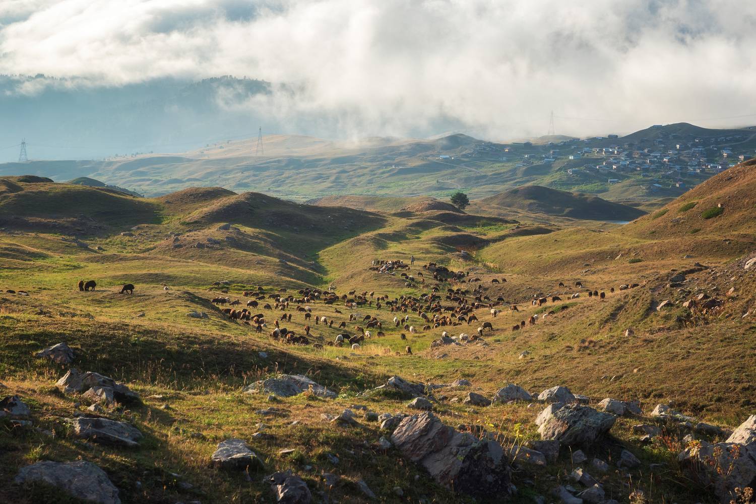 , Рагинская Ольга