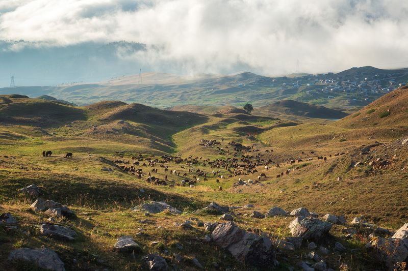 Туман над долиной фото превью