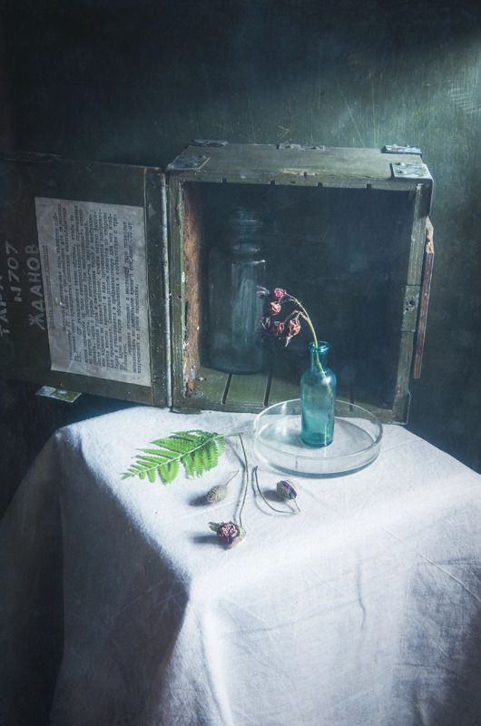 натюрморт, история, веточка, папоротник Забытая история фото превью