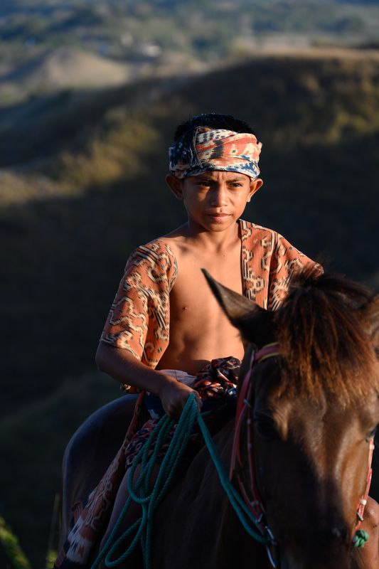 Sumba rider фото превью