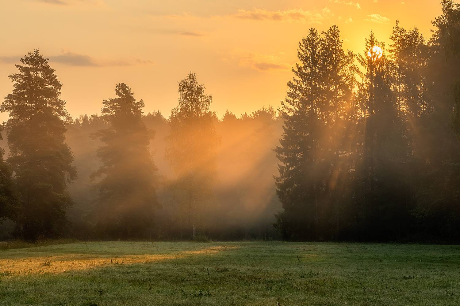 , Alexander Pashenichev