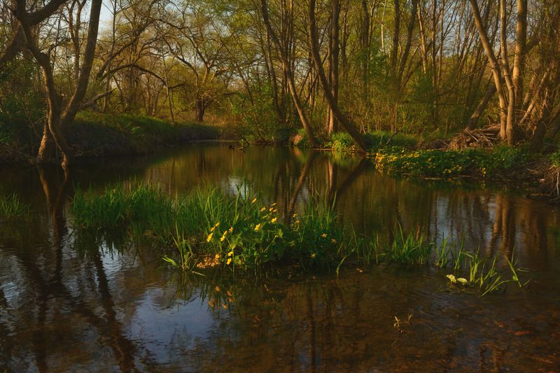приморье Один вечер мая. фото превью