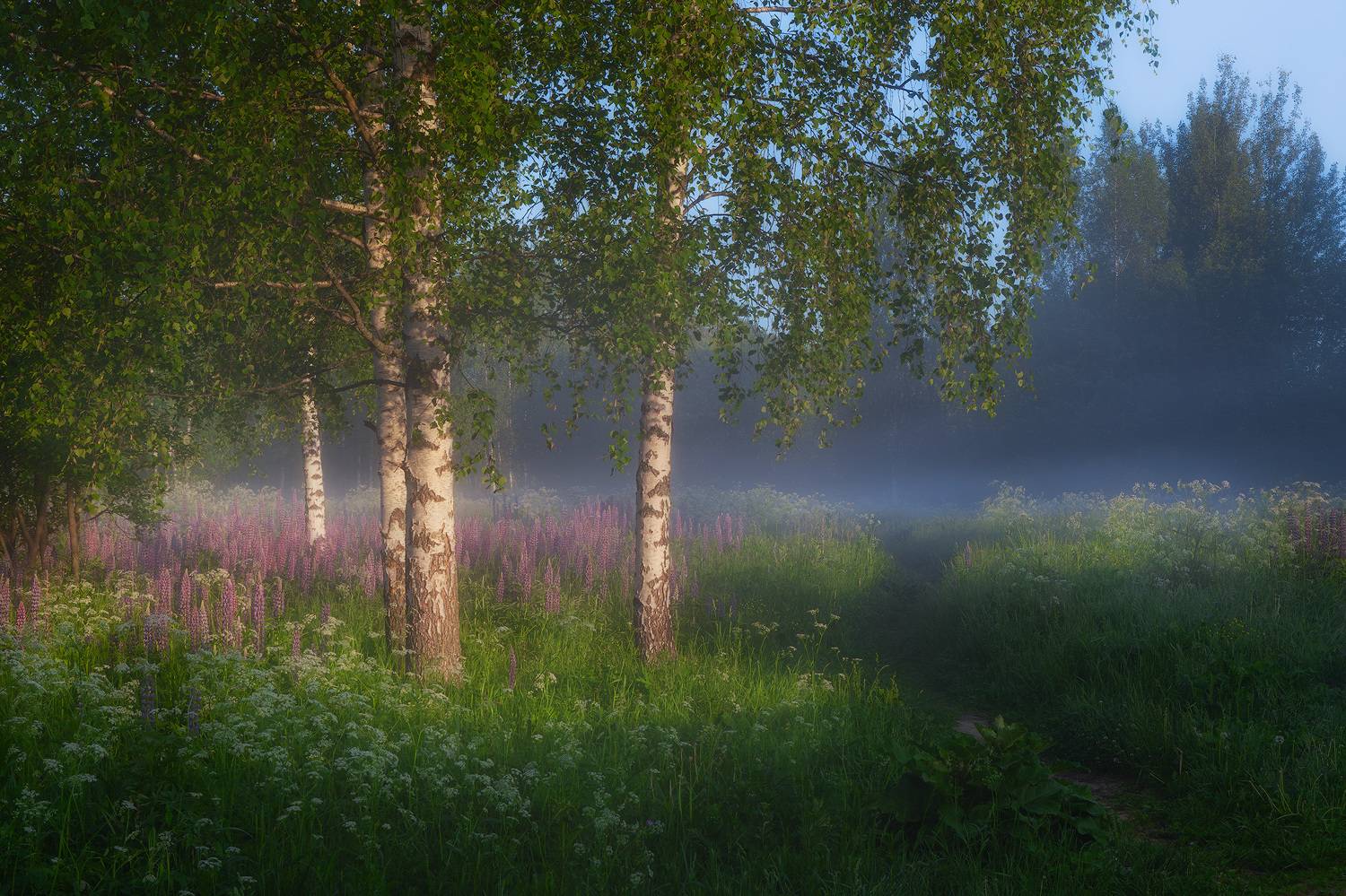 , Костенко Александр