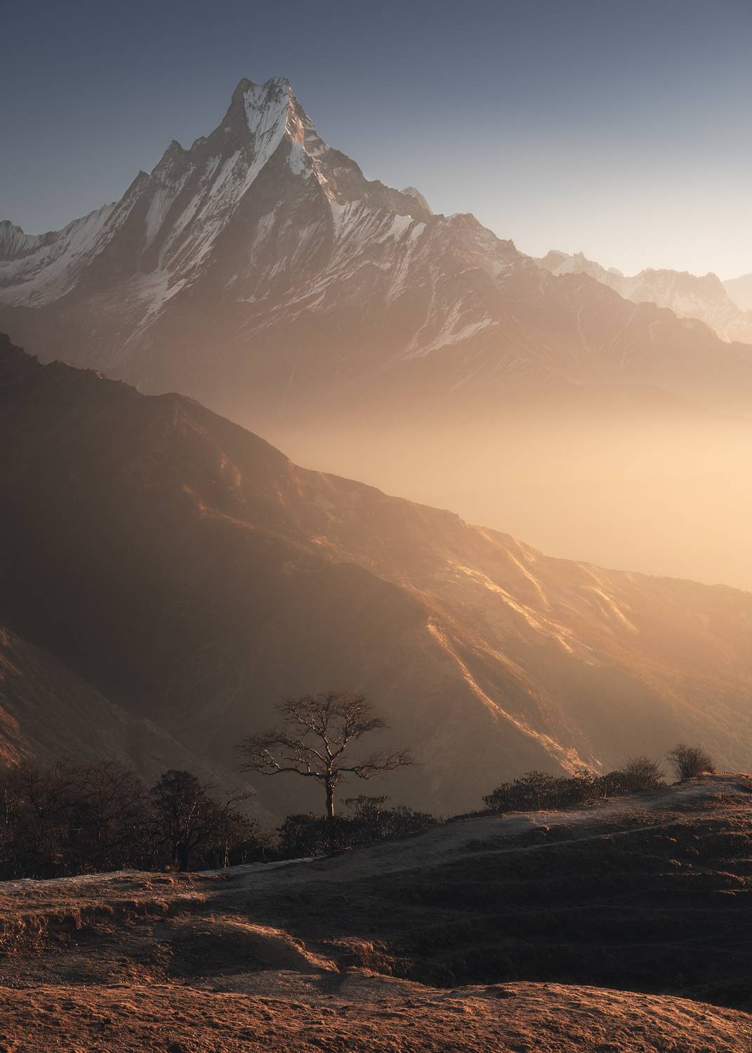 , Политова Анна