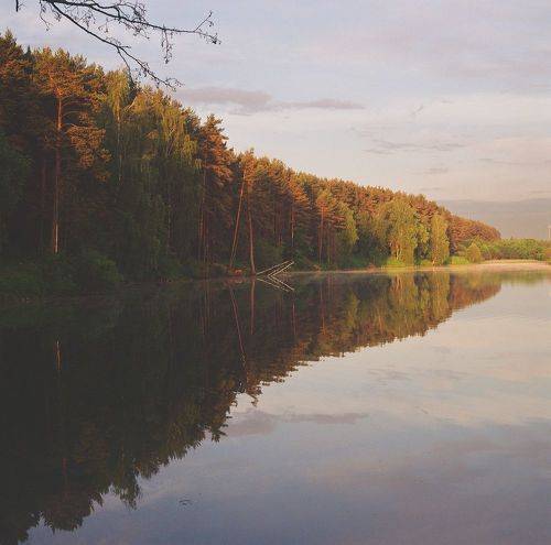 Начало дня на пленку