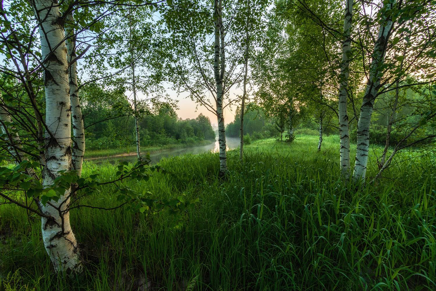 , Колобов Николай