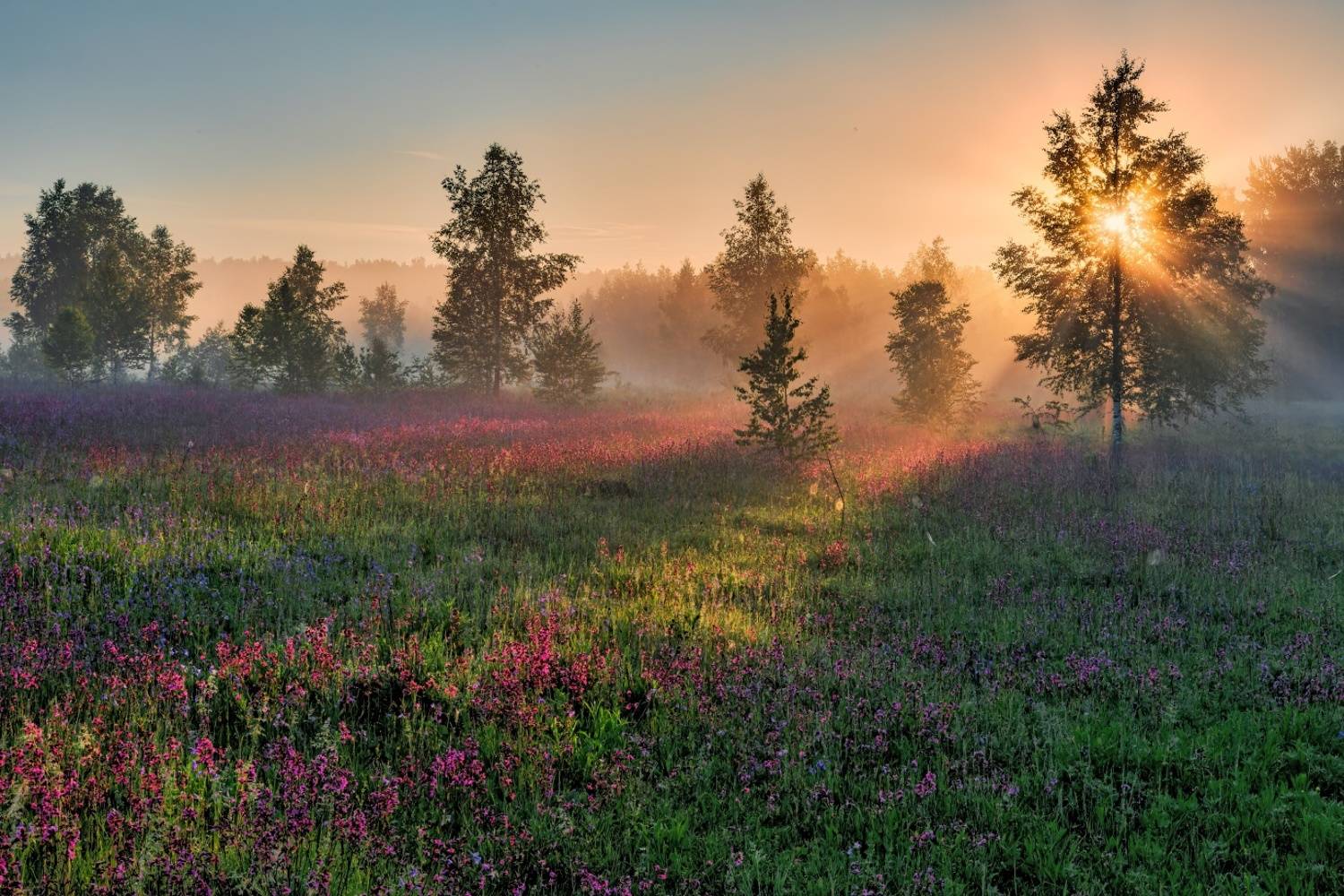 , Евгений Ерохин