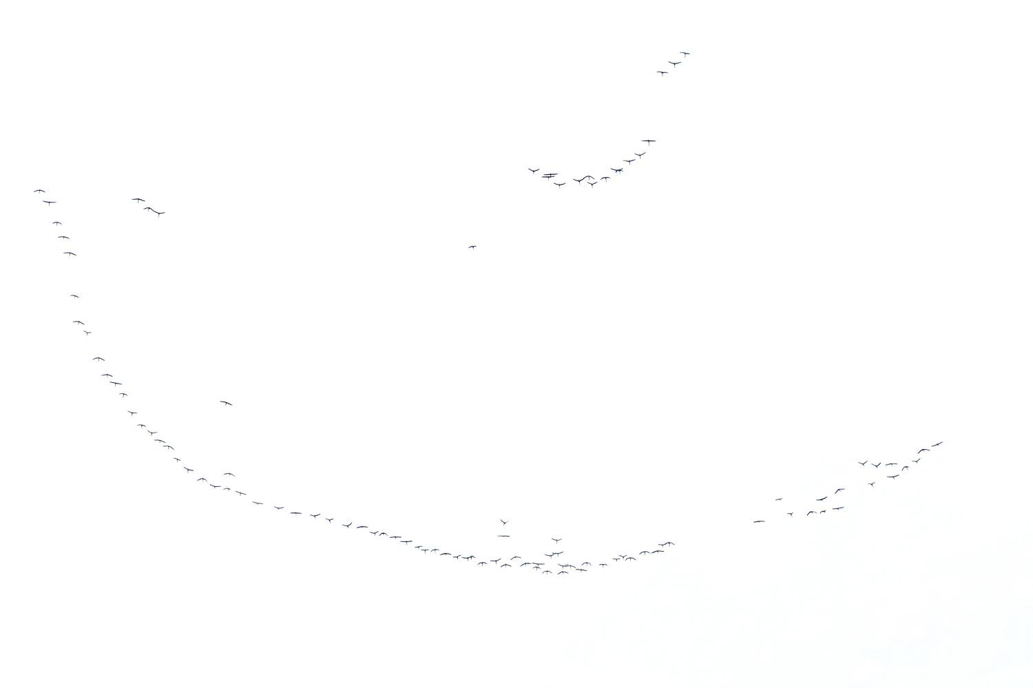 , Кузнецов Дмитрий