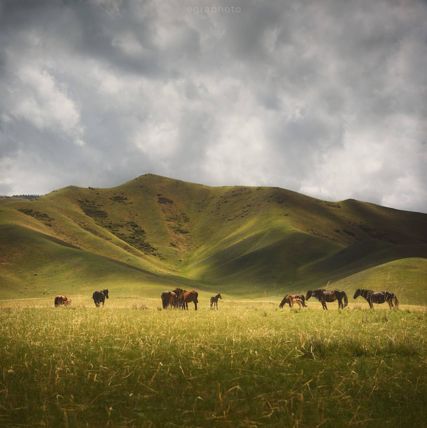 казахстан, Рябенький Александр