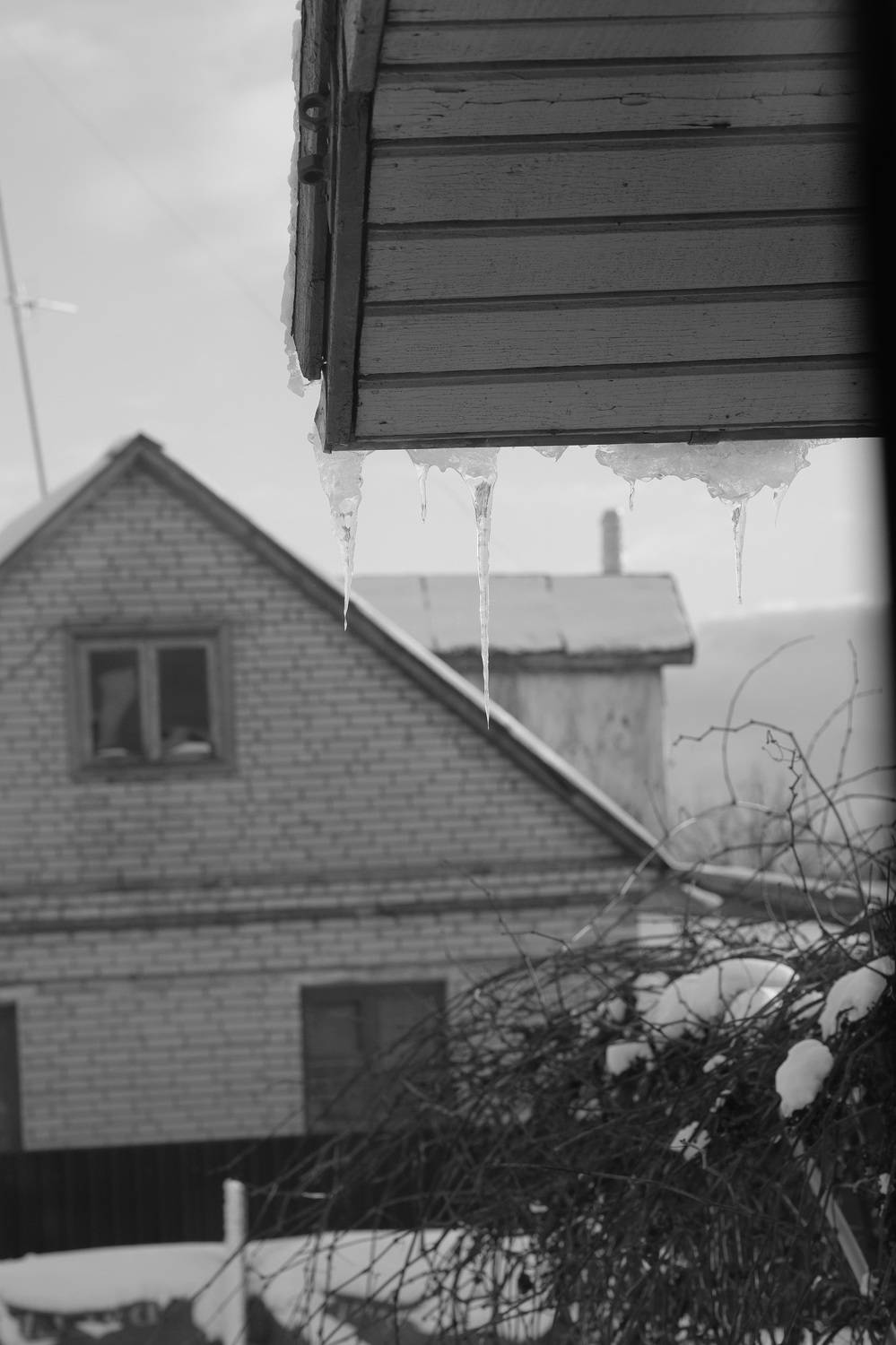 , Виктор Мошко