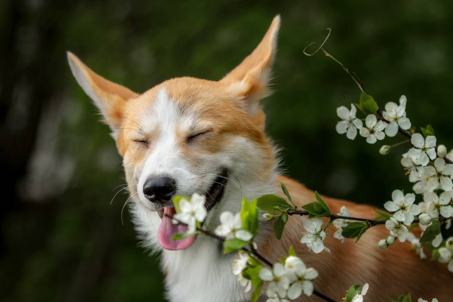 , Зубкова Юлия