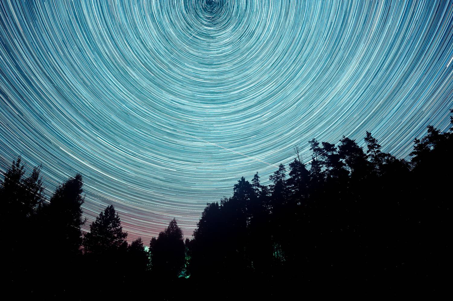 , Лутовкин Артём